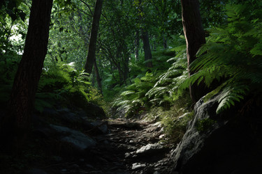 Similar image 22426905