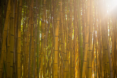 Similar image 22426907