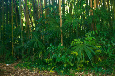 Similar image 22426908