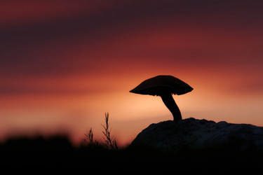 Similar image 22426909