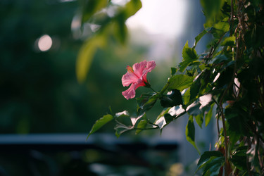 Similar image 22426912