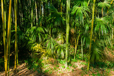 Similar image 22426913