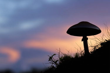 Similar image 22426915