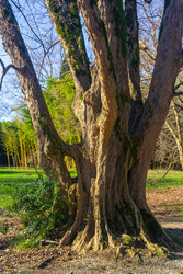 Similar image 22426916