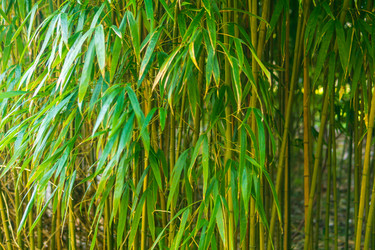 Similar image 22426917