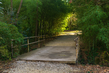 Similar image 22426919