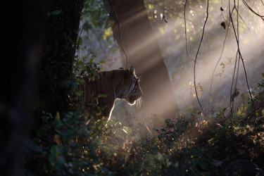 Similar image 22426920