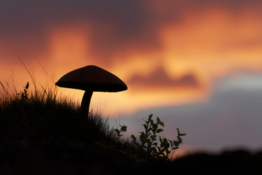 Similar image 22426922