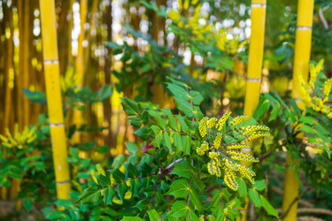 Similar image 22426924