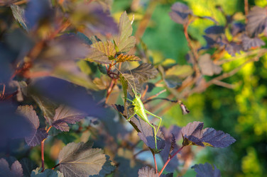 Similar image 22424976