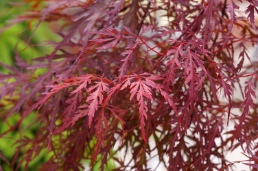 Similar image 22424977