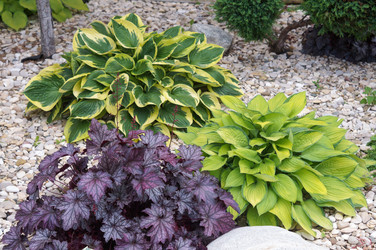 Similar image 22426790