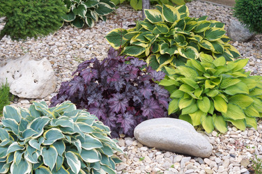 Similar image 22424978