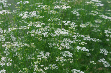 Similar image 22424979