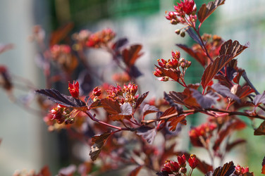 Similar image 22464535