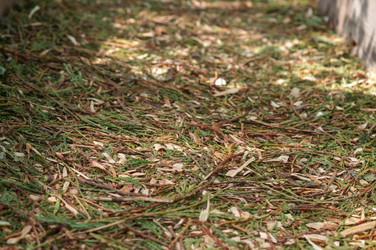 Similar image 22424980