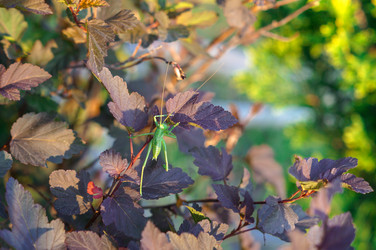 Similar image 22424981