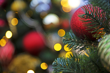 Similar image 22443132