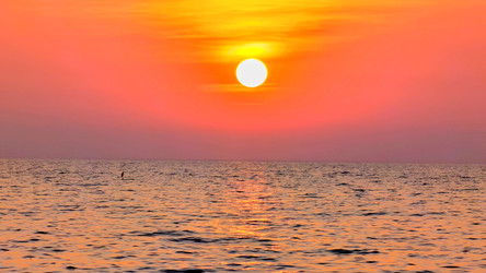 Similar image 22425058