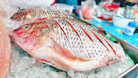 Similar image 22425079