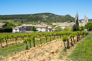 Similar image 22425265