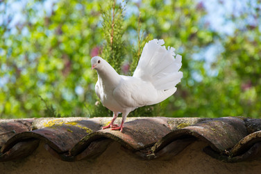 Similar image 22425276