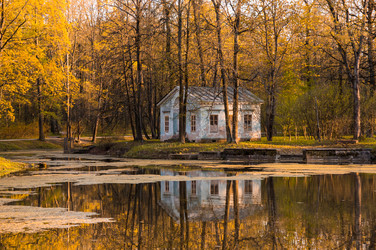 Similar image 22425277