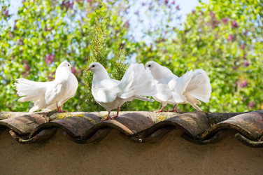 Similar image 22425287