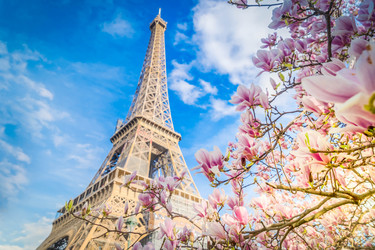 Similar image 22457341