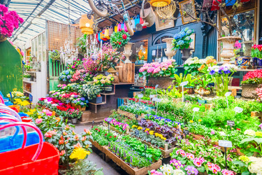 Similar image 22457356