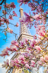 Similar image 22457401