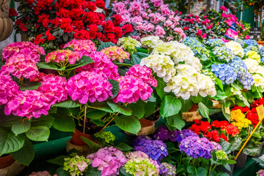 Similar image 22457433