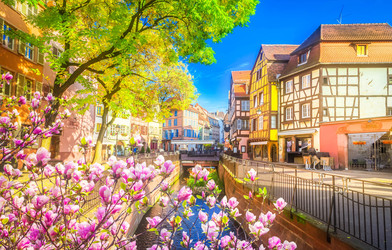 Similar image 22457461