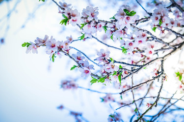 Similar image 22457462