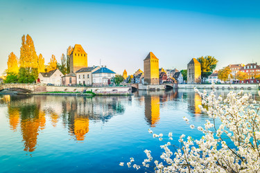 Similar image 22457508