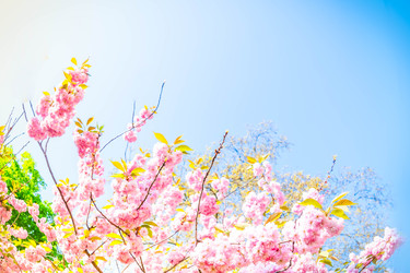 Similar image 22457537