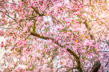 Similar image 22457539