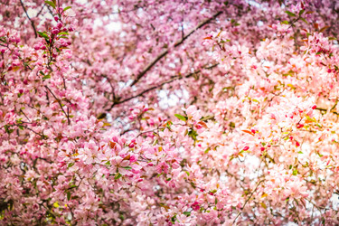 Similar image 22457597