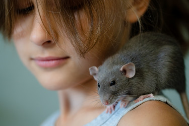 Similar image 22427694