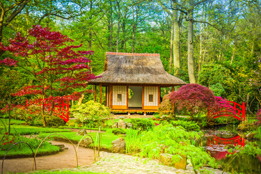 Similar image 22457655