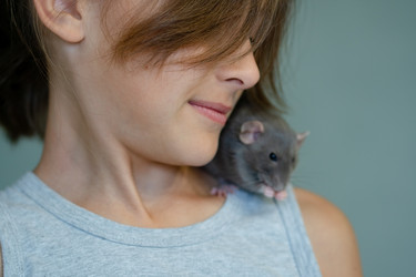 Similar image 22427696