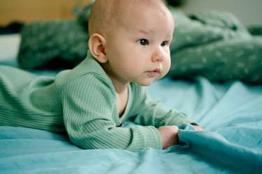 Similar image 22427697