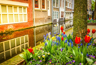 Similar image 22458007