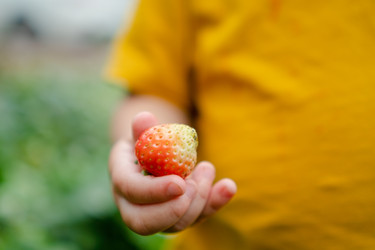 Similar image 22427700