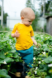 Similar image 22427702