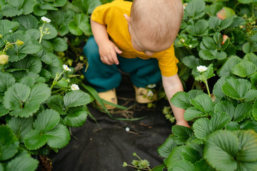 Similar image 22427712