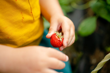 Similar image 22427725