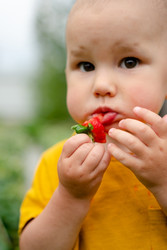 Similar image 22427736