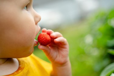 Similar image 22427751