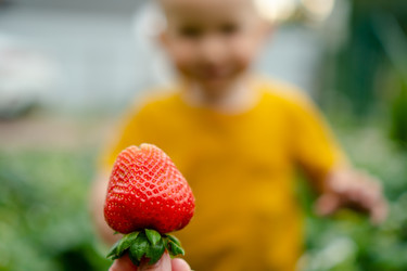 Similar image 22427752